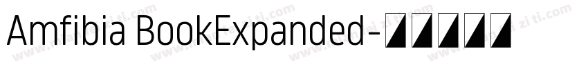 Amfibia BookExpanded字体转换